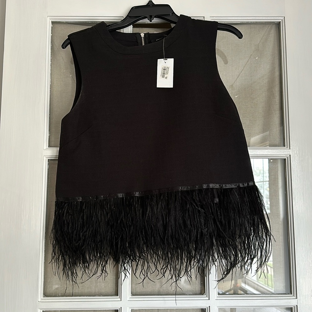 Endless Rose Black Feather Top